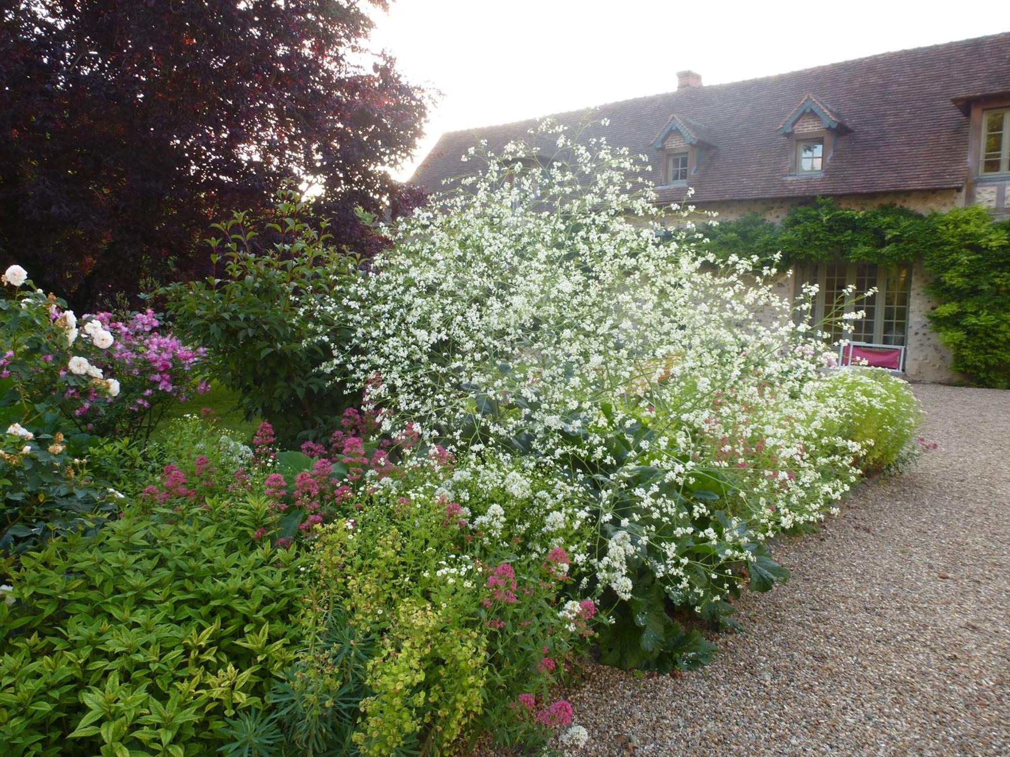 Chambres d'Hôtes Clos de Mondetour Fontaine-sous-Jouy Extérieur photo
