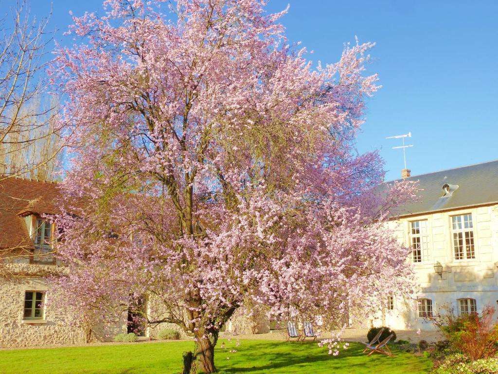 Chambres d'Hôtes Clos de Mondetour Fontaine-sous-Jouy Extérieur photo